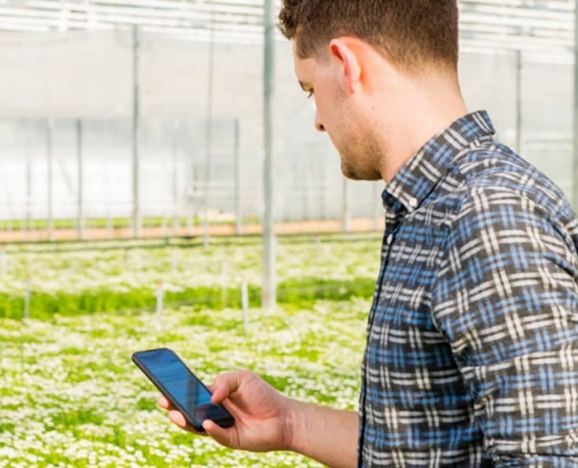 Priva Operator дистанционное управление микроклиматом в теплице Priva Operator дистанционное управление микроклиматом в теплице