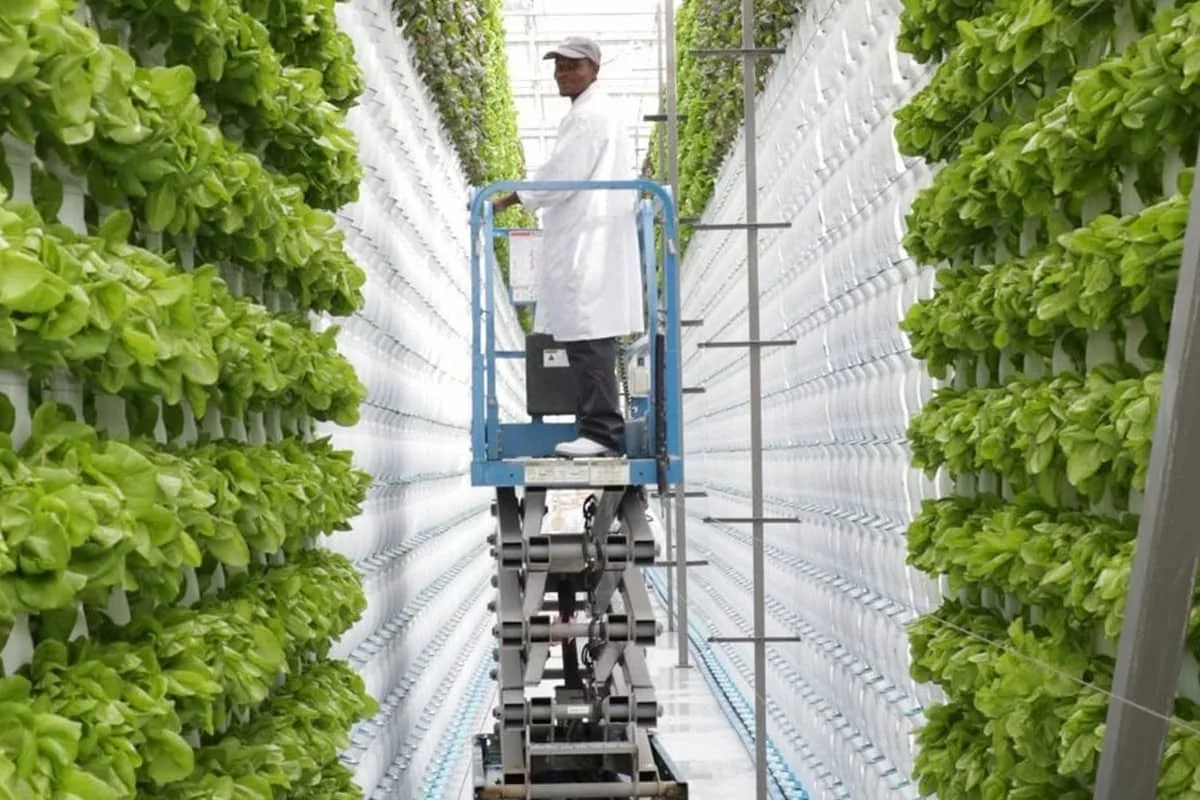 Вертикальные фермы CAN-Agri для сельскохозяйственных культур