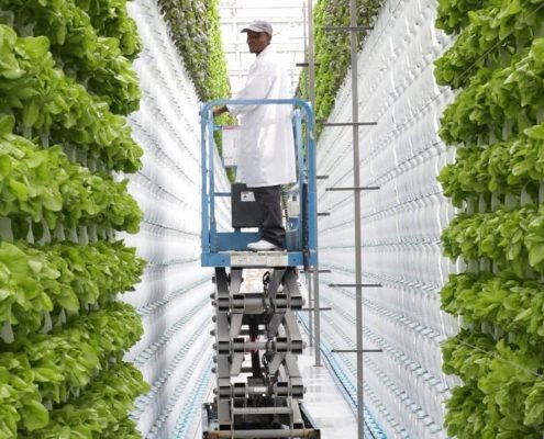 Вертикальні ферми CAN-Agri для сільськогосподарських культур