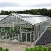 Грунтові промислові теплиці BHK Greenhouse