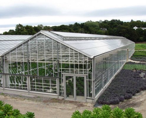 Грунтові промислові теплиці BHK Greenhouse