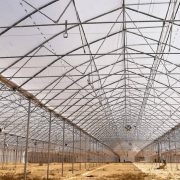 Промышленная теплица BHK Greenhouse из полиэтилена