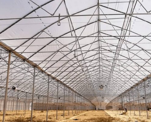 Промислова теплиця BHK Greenhouse із поліетилену