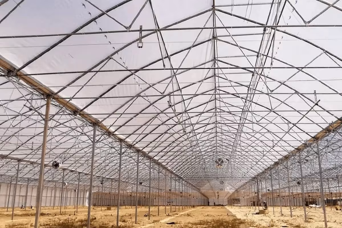 Промислова теплиця BHK Greenhouse із поліетилену