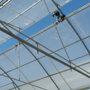 Промислова теплиця BHK Greenhouse із полікарбонату