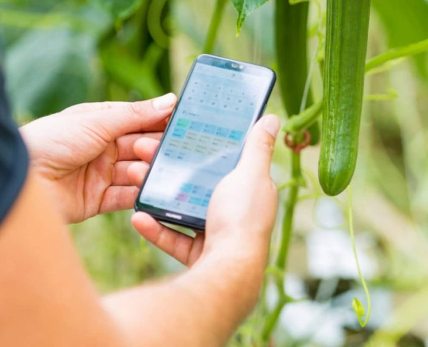 Priva Connected удаленное управление теплицей