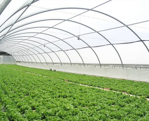 Тунельна промислова теплиця