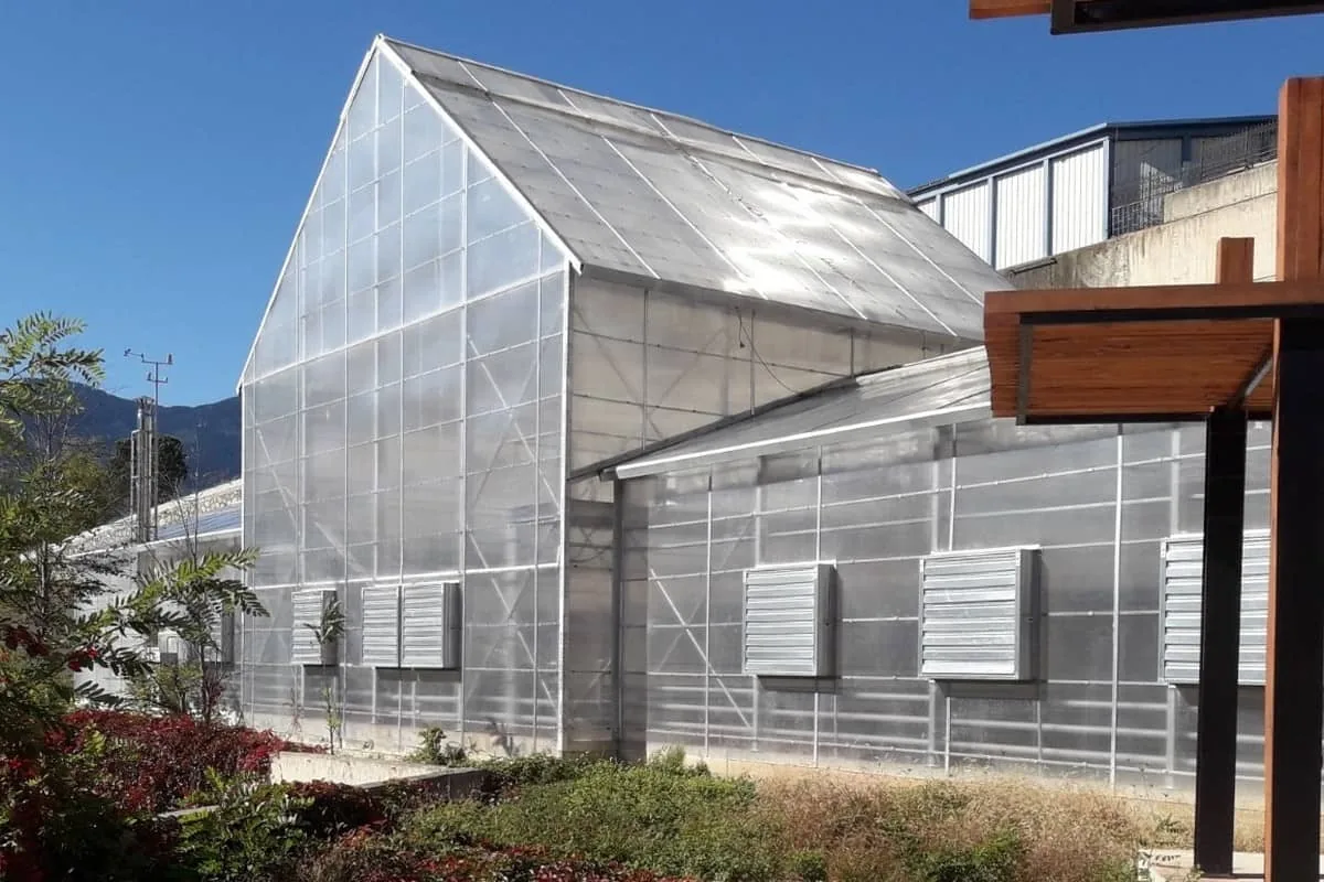 Промышленная теплица BHK Greenhouse под заказ