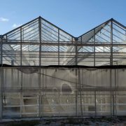 Промышленная теплица из стекла