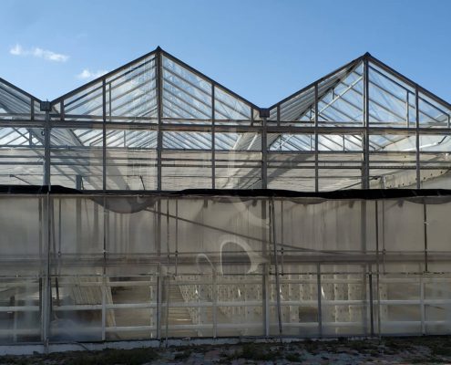 Промышленная теплица из стекла