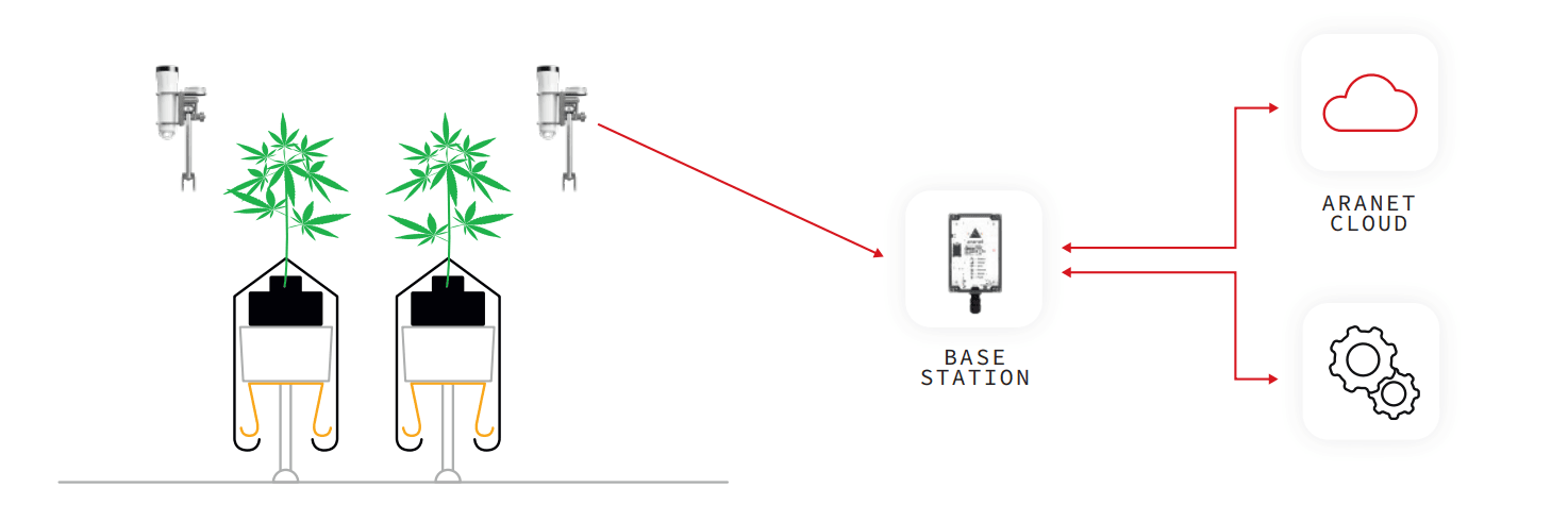 Aranet PAR sensor