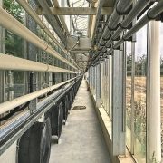 Теплиця п'ятого покоління