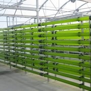 Теплиця для водоростей