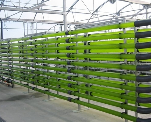 Теплиця для водоростей