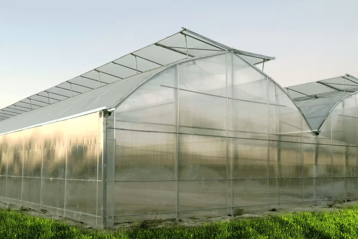 Промислові теплиці Rufepa Tecnoagro, S.L. із пластику