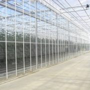 Стеклянная промышленная теплица Venlo