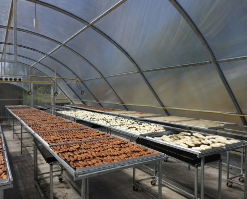 Сонячна тунельна сушарка