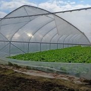 Легкая туннельная теплица