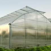 Багатопролітна готична теплиця