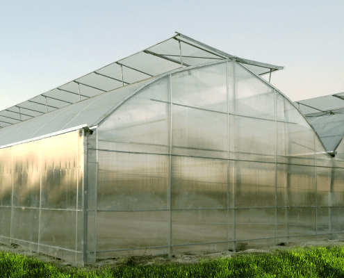 Многопролетная готическая теплица