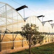 Теплица типа Альмерия