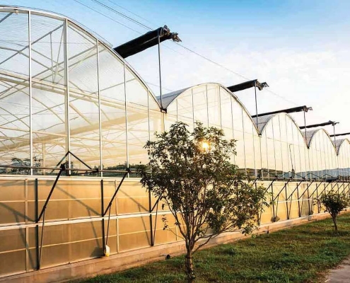 Теплица типа Альмерия