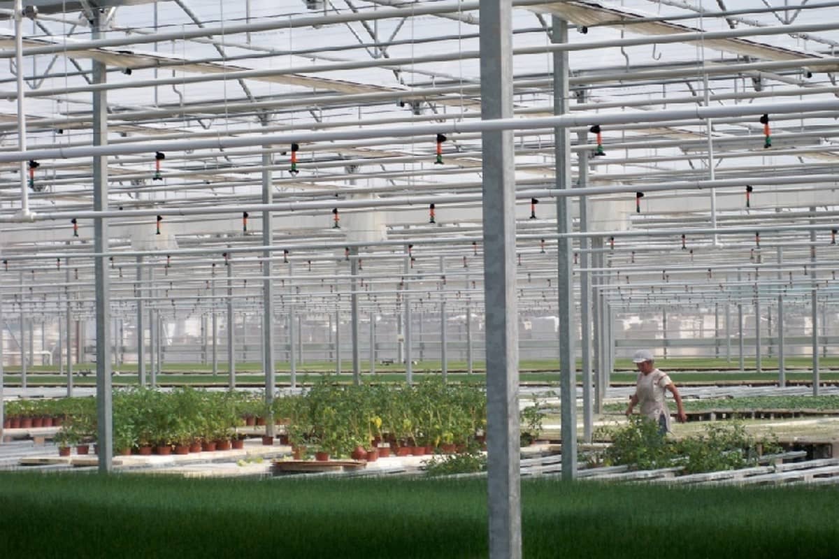 обладнання для розплідника рослин