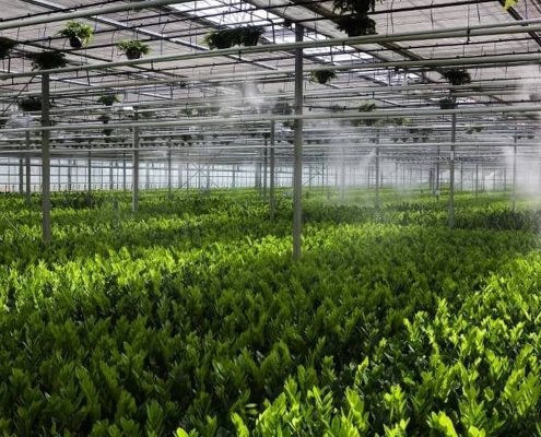 Туманообразователи для теплиц