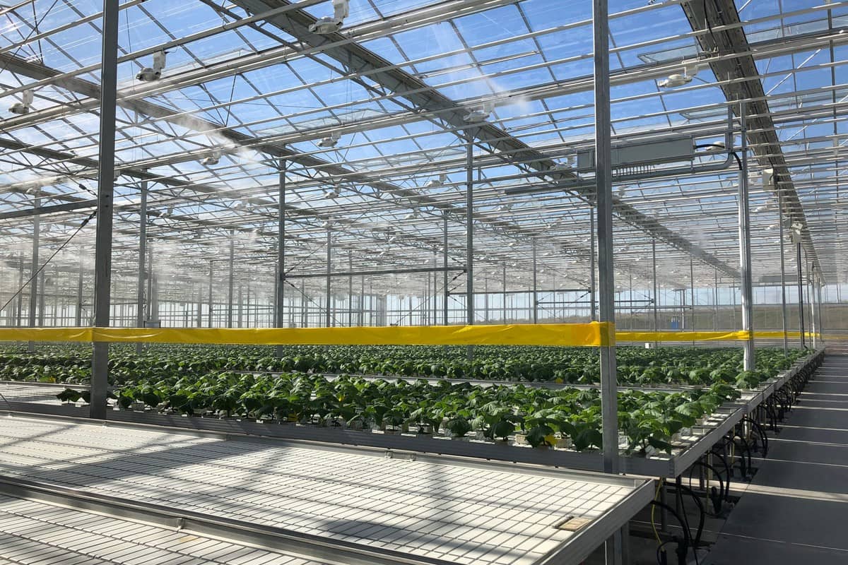 Система клімат контролю для теплиць Rufepa